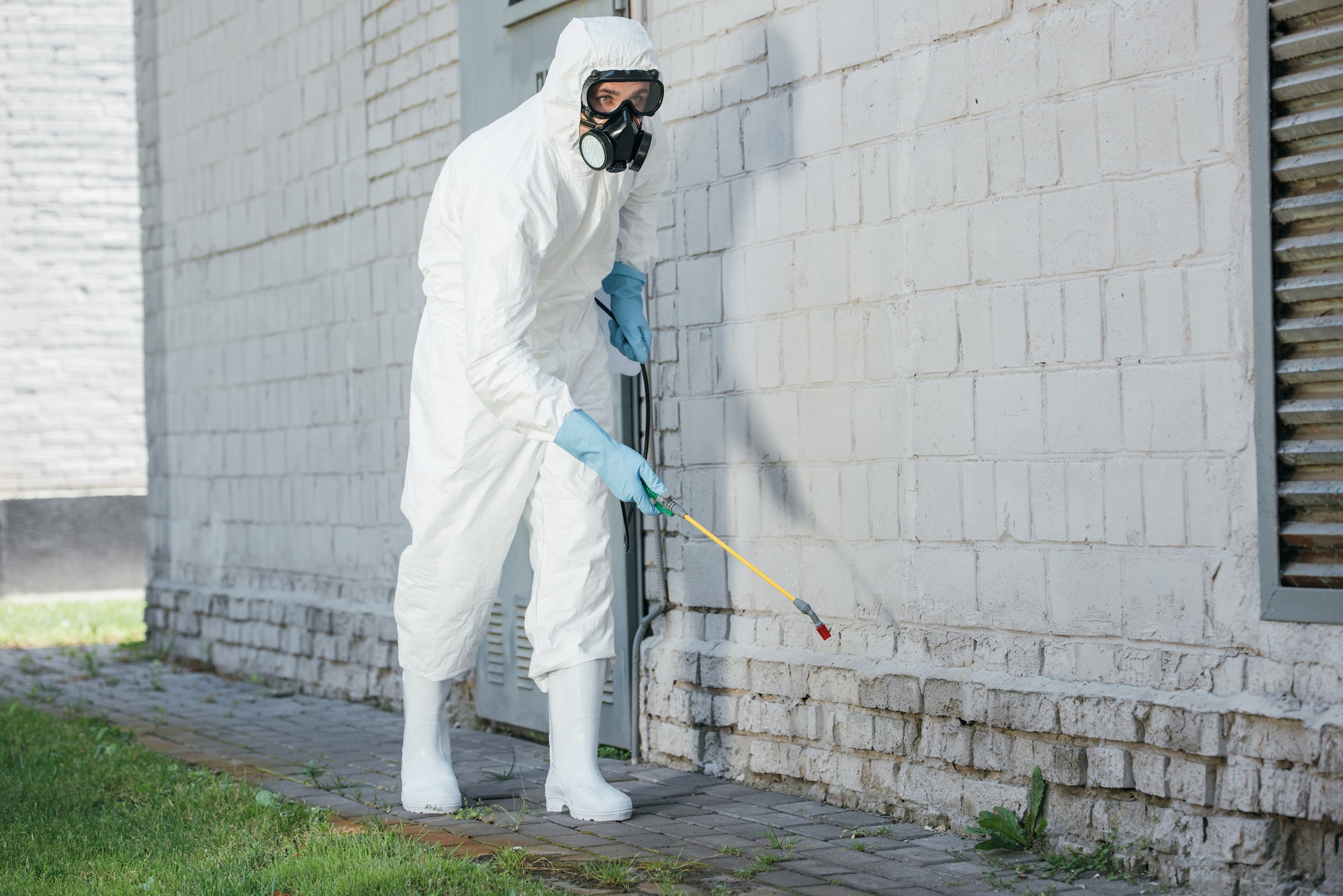 pest control worker spraying chemicals with sprayer on building wall